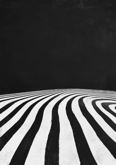 Plakat Czarno-białe paski zebry tworzące iluzję