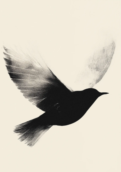 Plakat abstrakcyjny lecący ptak z czarnym skrzydłem