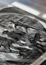 Zbliżenie na detale plakatu: wizja budowy metra Broadway Underground Railway Nowy Jork 1872