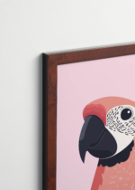 Plakat oprawiony w drewnianą brązową ramkę Vintage Italia: koralowa ara papuga skandynawski do pokoju dziecięcego