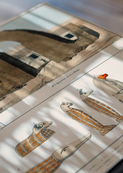 Zbliżenie na detale plakatu: ryciny archeologiczne Belzoni Egipt 1820