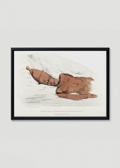 Plakat w drewnianej czarnej ramce: głowa faraona Giovanni Battista Belzoni 1820