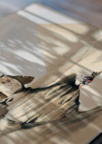 Zbliżenie na detale plakatu: Sfinks i Piramidy w Gizie David Roberts Egipt