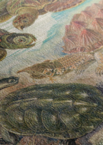 żółwie morskie Ernst Haeckel natura vintage obraz na płótnie