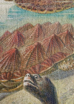 żółwie morskie Ernst Haeckel natura vintage obraz na płótnie