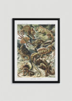 Plakat w drewnianej czarnej ramce: Lacertilia jaszczurki Ernst Haeckel vintage
