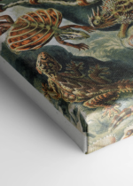 Lacertilia jaszczurki Ernst Haeckel vintage obraz na płótnie