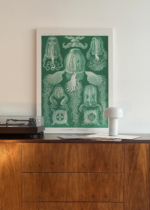 Cubomedusae meduzy Ernst Haeckel natura obraz na płótnie