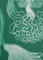 Cubomedusae meduzy Ernst Haeckel natura obraz na płótnie
