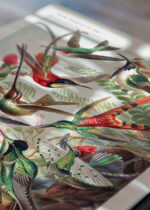 Zbliżenie na detale plakatu: Kolibry Trochilidae–Kolibris - Ernst Haeckel