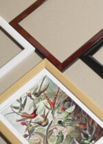 Widok z góry na cztery drewniane ramki, w jednej z nich oprawiony plakat Kolibry Trochilidae–Kolibris - Ernst Haeckel