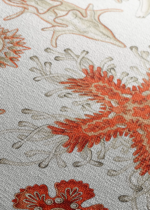 Asterias rozgwiazdy Ernst Haeckel vintage obraz na płótnie