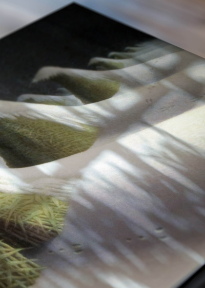 Zbliżenie na detale plakatu: zimowy krajobraz kaktusy Grant Wood surrealizm