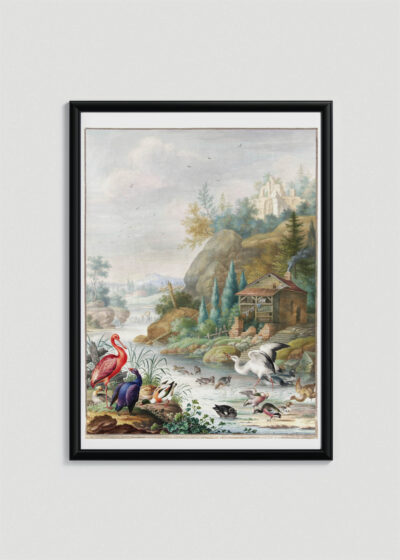 Plakat w drewnianej czarnej ramce: Herman Henstenburg ptaki flaming paw barokowy XVIII w