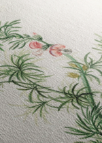 botaniczny Herman Henstenburg XVIII wiek vintage obraz na płótnie