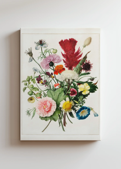 Herman Henstenburg kwiaty barok botaniczny XVIII w. obraz na płótnie
