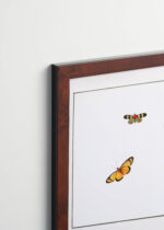 Plakat oprawiony w drewnianą brązową ramkę Vintage Italia: motyle Henstenburg entomologia vintage natura XVIII