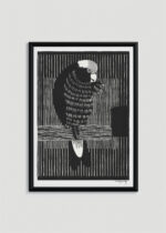 Plakat w drewnianej czarnej ramce: papuga drzeworyt Samuel de Mesquita czarno-biały
