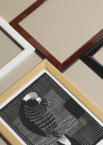 Widok z góry na cztery drewniane ramki, w jednej z nich oprawiony plakat papuga drzeworyt Samuel de Mesquita czarno-biały