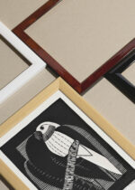 Widok z góry na cztery drewniane ramki, w jednej z nich oprawiony plakat papuga drzeworyt Samuel Jessurun de Mesquita