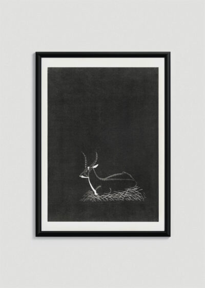 Plakat w drewnianej czarnej ramce: antylopa drzeworyt de Mesquita czarno-biały vintage