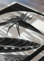 Zbliżenie na detale plakatu: czarno-biały Strelicja przekwitła 1934 Samuel Jessurun de Mesquita