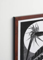 Plakat oprawiony w drewnianą brązową ramkę Vintage Italia: czarno-biały Strelicja przekwitła 1934 Samuel Jessurun de Mesquita