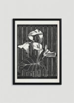 Plakat w drewnianej czarnej ramce: czarno-biały drzeworyt kwiaty Kalie Mesquita vintage