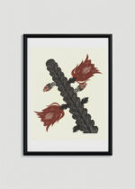 Plakat w drewnianej czarnej ramce: Kaktus w rozkwicie 1929 Samuel Jessurun de Mesquita