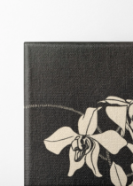 czarno-biały Orchidea 1916 Samuel Jessurun de Mesquita obraz na płótnie