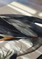 Widok z góry na cztery drewniane ramki, w jednej z nich oprawiony plakat Czapla Wielka w stylu vintage Johna Jamesa Audubona