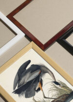 Zbliżenie na detale plakatu oprawionego w drewnianą białą ramkę od Plakatello®: Czapla Wielka w stylu vintage Johna Jamesa Audubona