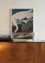 Biały Żuraw Amerykański - Audubon Birds of America obraz na płótnie