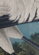 Biały Żuraw Amerykański - Audubon Birds of America obraz na płótnie