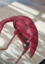 Widok z góry na cztery drewniane ramki, w jednej z nich oprawiony plakat Amerykański Flaming John James Audubon ornitologia