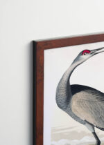 Aranżacja wnętrza, na ścianie wisi plakat w ramce: żuraw kanadyjski Sandhill Crane John James Audubon