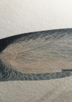 żuraw kanadyjski Sandhill Crane John James Audubon obraz na płótnie