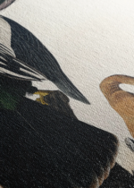 Wężówka Amerykańska - Audubon Birds of America 1838 obraz na płótnie