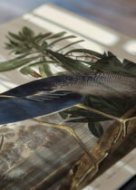 Zbliżenie na detale plakatu: Czapla trójbarwna Louisiana Heron Audubon vintage