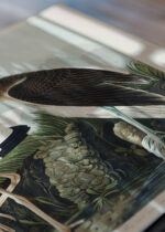 Zbliżenie na detale plakatu: Biały Ibis Johna Jamesa Audubona z Birds of America