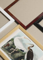 Widok z góry na cztery drewniane ramki, w jednej z nich oprawiony plakat Biały Ibis Johna Jamesa Audubona z Birds of America