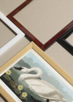 Widok z góry na cztery drewniane ramki, w jednej z nich oprawiony plakat Łabędź trąbiący American Swan John James Audubon ptaki Ameryki