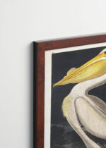 Aranżacja wnętrza, na ścianie wisi plakat w ramce: Pelikan dzioborogi American White Pelican - John James Audubon
