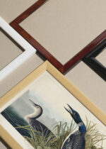 Widok z góry na cztery drewniane ramki, w jednej z nich oprawiony plakat Ptaki Ameryki - Nur lodowiec John James Audubon