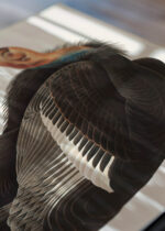 Widok z góry na cztery drewniane ramki, w jednej z nich oprawiony plakat Sęp Kondor kalifornijski John James Audubon Birds of America