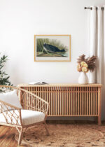 Aranżacja wnętrza, na ścianie wisi plakat w ramce: Łyska amerykańska - ornitologiczna ilustracja Audubona