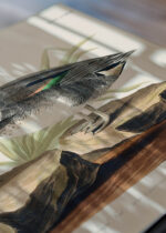 Zbliżenie na detale plakatu: Cyraneczka karolińska John James Audubon