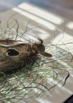 Widok z góry na cztery drewniane ramki, w jednej z nich oprawiony plakat Gniazdo trzcinnika Nuttalla - ilustracja Audubona