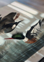 Zbliżenie na detale plakatu: Szlachar tracz długodzioby - ptaki Ameryki J.J. Audubon