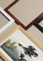 Widok z góry na cztery drewniane ramki, w jednej z nich oprawiony plakat Szlachar tracz długodzioby - ptaki Ameryki J.J. Audubon